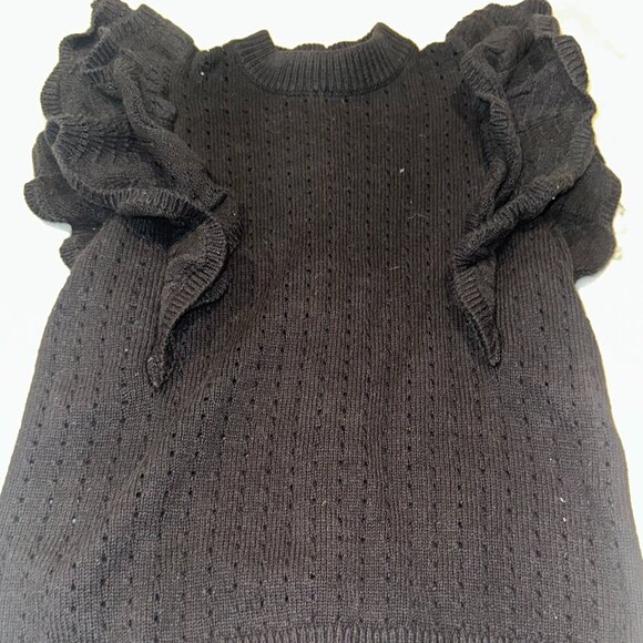 Knit  Sweater top with Ruffle Sleeves - Picture 2 of 5